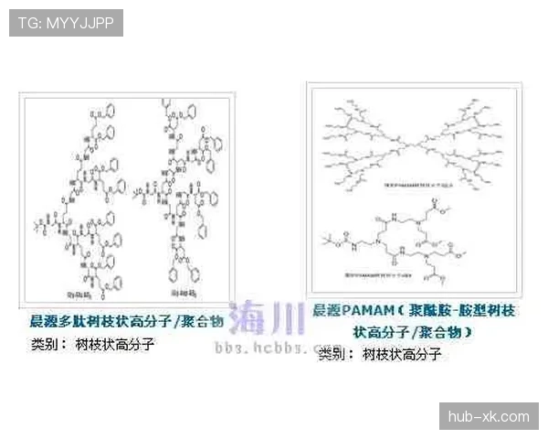 巴尔科拉在巴黎体系中的表现被放大的具体体现与机制解析