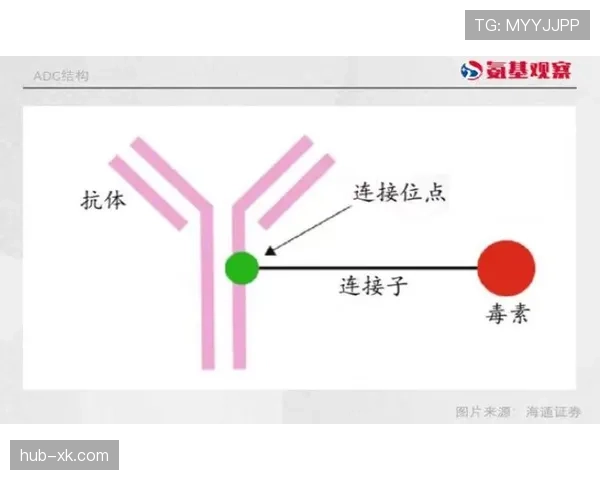 杜埃表现为何起伏不定？稳定性短板与未来上限的关键制约因素分析